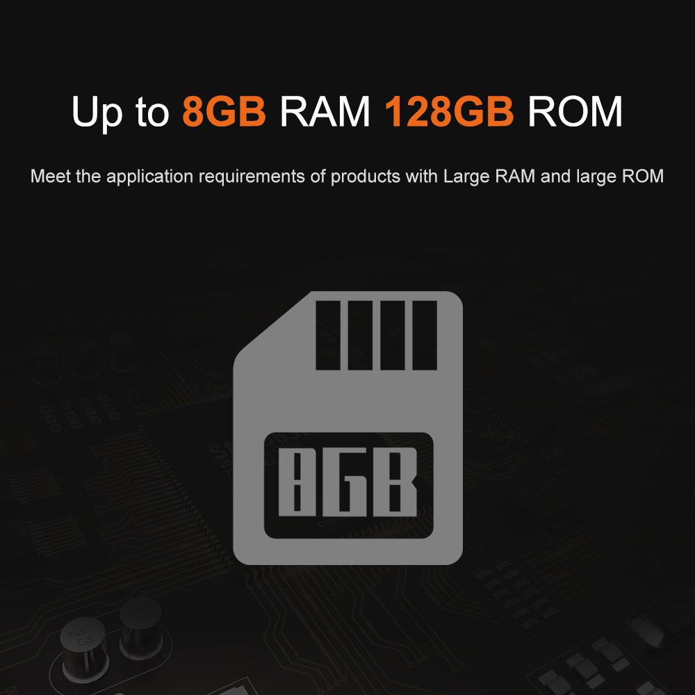 Liontron RK3566 DDR4 8GB RAM A – Open Vending Machine recenzja i cena
